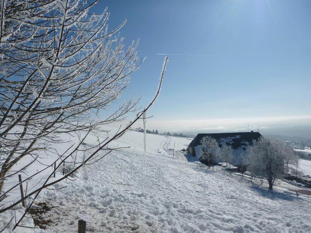 Gaestehaus Hundelbach Lenzkirch Exteriör bild