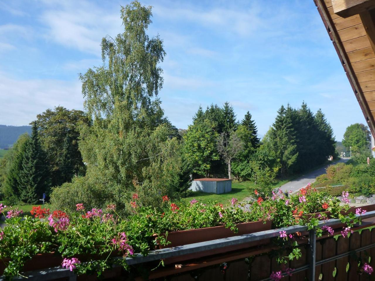 Gaestehaus Hundelbach Lenzkirch Exteriör bild