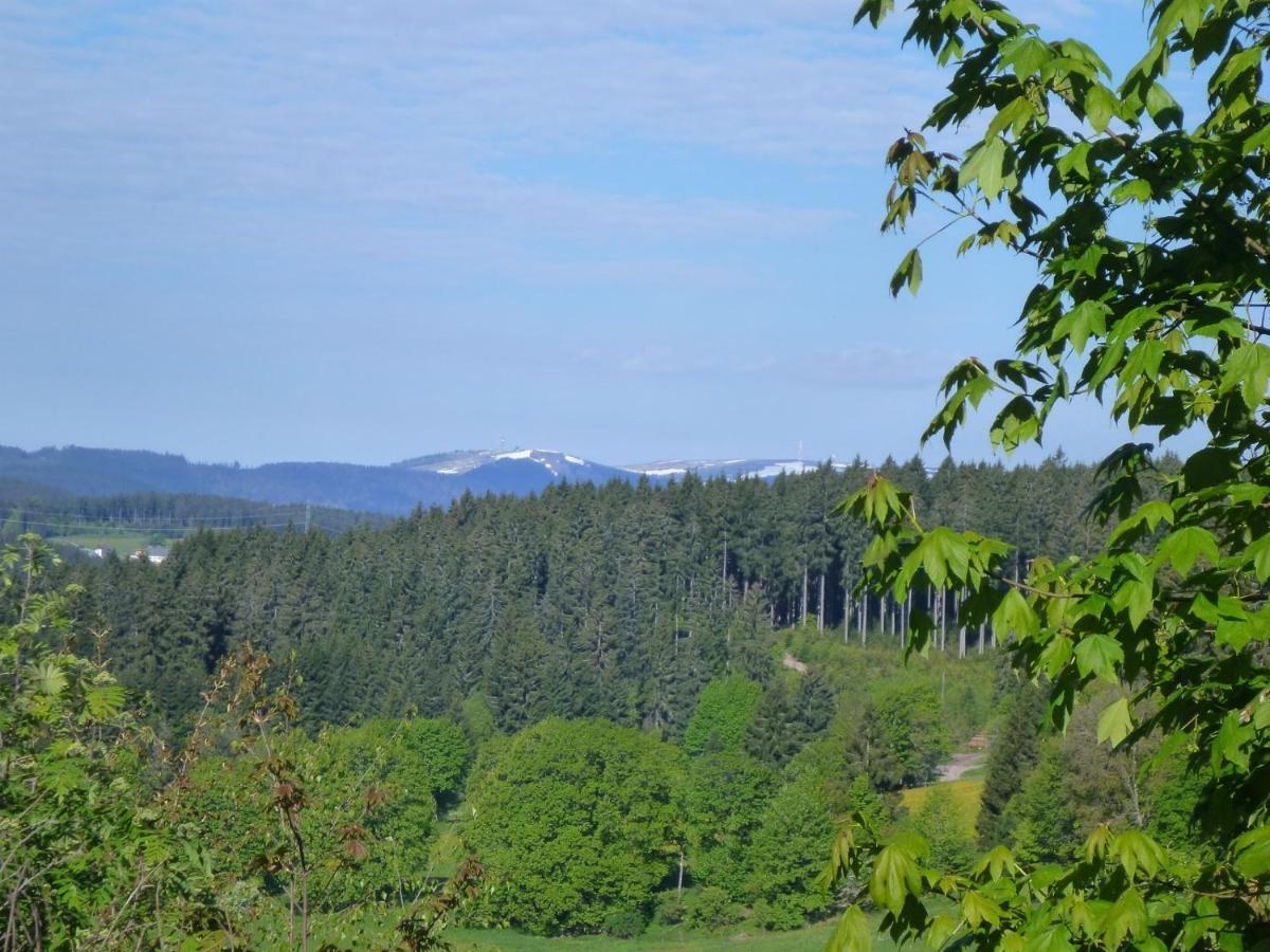Gaestehaus Hundelbach Lenzkirch Exteriör bild