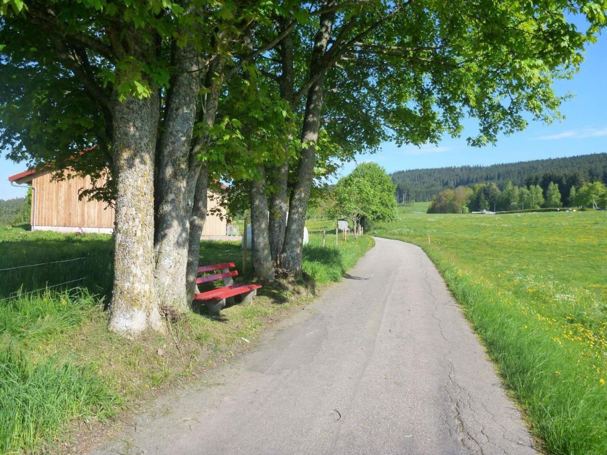 Gaestehaus Hundelbach Lenzkirch Exteriör bild